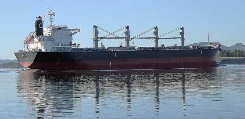 BULK CASTOR Bulk Carrier IMO 9725586 photo 8