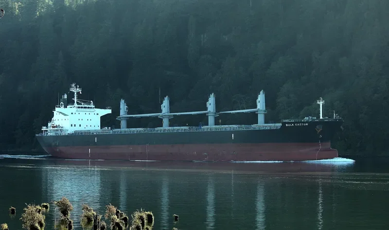 BULK CASTOR Bulk Carrier IMO 9725586 photo 9