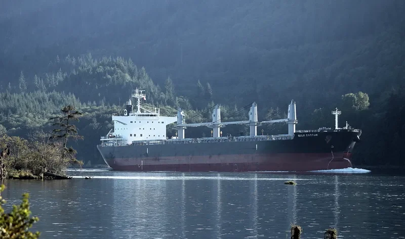 BULK CASTOR Bulk Carrier IMO 9725586 photo 10