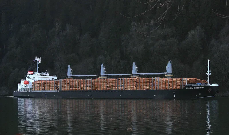 GLOBAL DISCOVERY Bulk Carrier IMO 9725691