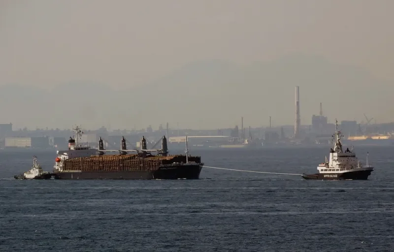 GLOBAL DISCOVERY Bulk Carrier IMO 9725691 photo 2