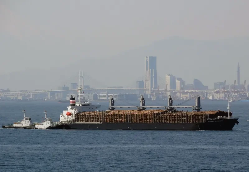 GLOBAL DISCOVERY Bulk Carrier IMO 9725691 photo 3