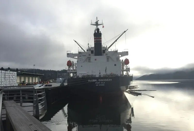 GLOBAL DISCOVERY Bulk Carrier IMO 9725691 photo 4