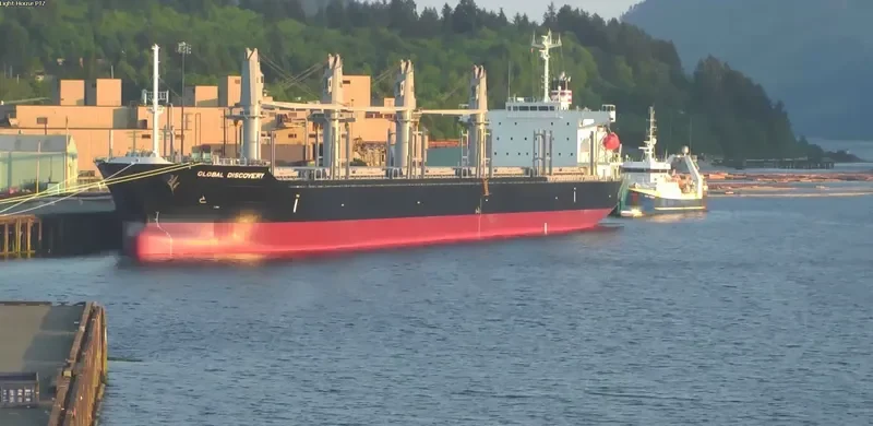GLOBAL DISCOVERY Bulk Carrier IMO 9725691 photo 5