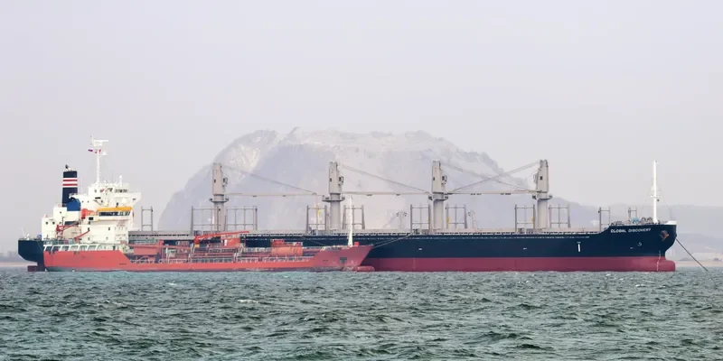 GLOBAL DISCOVERY Bulk Carrier IMO 9725691 photo 6