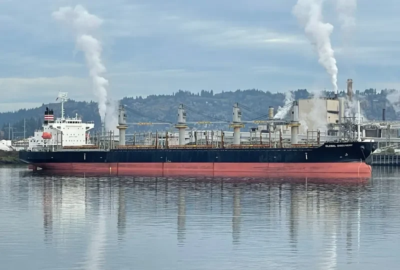 GLOBAL DISCOVERY Bulk Carrier IMO 9725691 photo 9