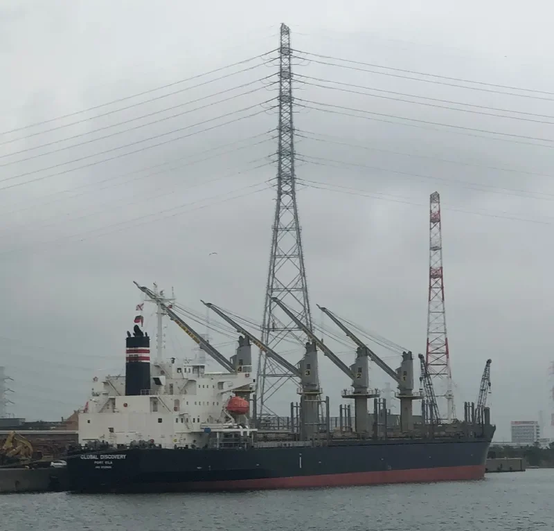 GLOBAL DISCOVERY Bulk Carrier IMO 9725691 photo 10