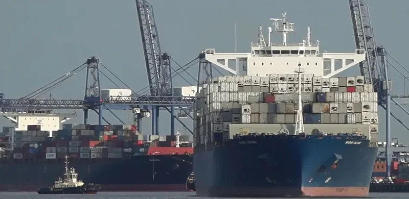 MAERSK SALTORO Container Ship IMO 9725706 photo 6