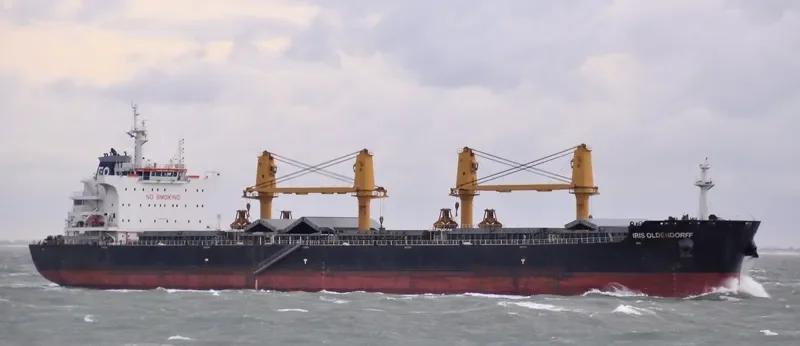 CL FAIR Bulk Carrier IMO 9725744