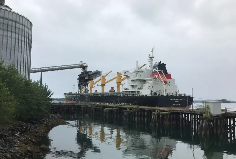 CL FAIR Bulk Carrier IMO 9725744 photo 5