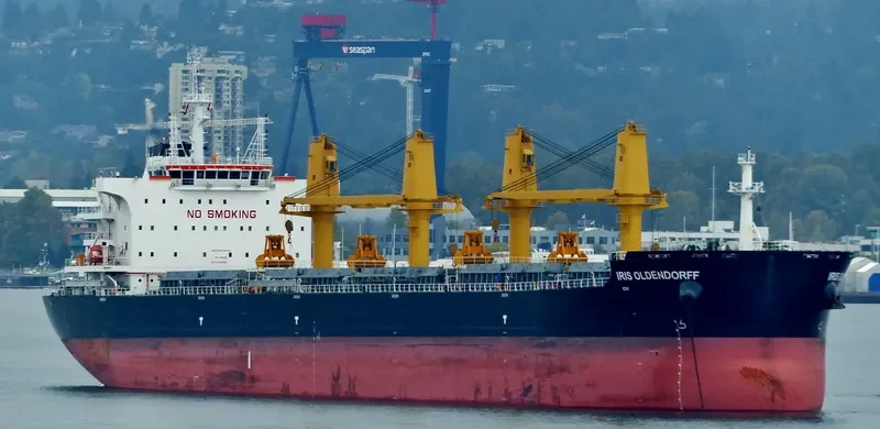 CL FAIR Bulk Carrier IMO 9725744 photo 8