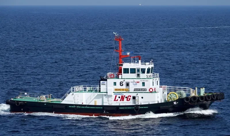 SAKIGAKE General Cargo IMO 9725794