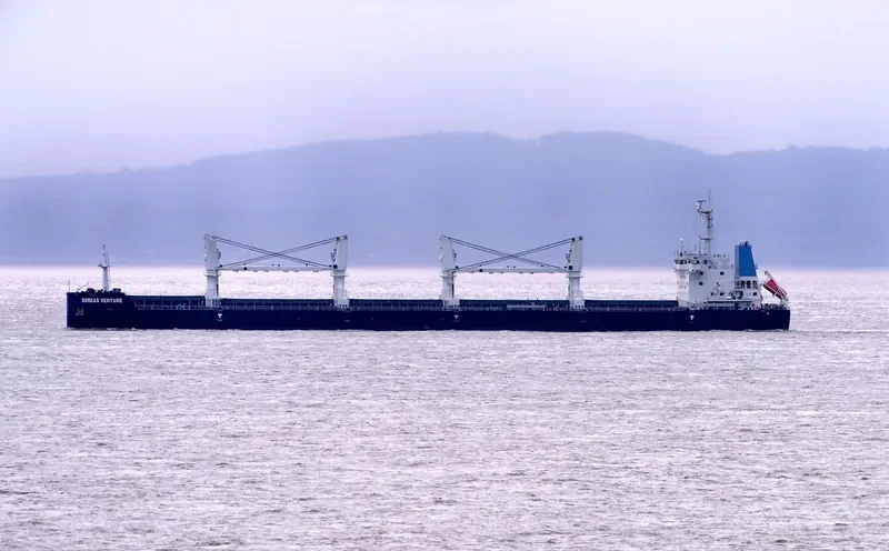 BOREAS VENTURE Bulk Carrier IMO 9725885