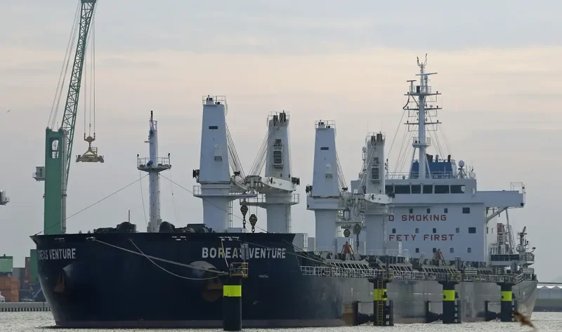 BOREAS VENTURE Bulk Carrier IMO 9725885 photo 6