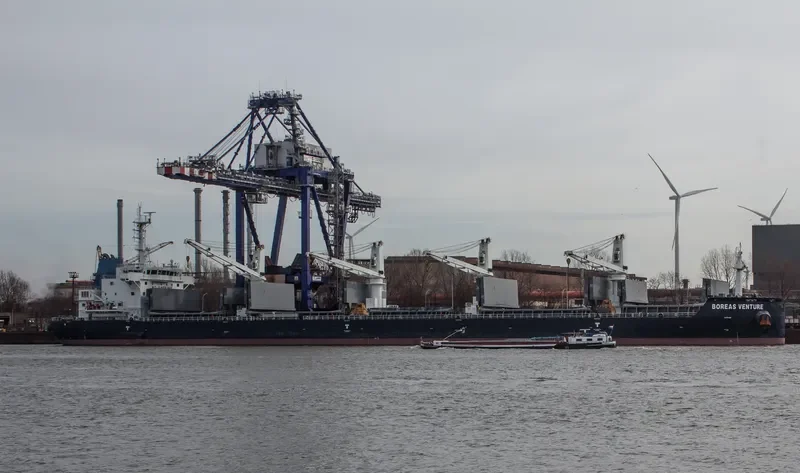 BOREAS VENTURE Bulk Carrier IMO 9725885 photo 7