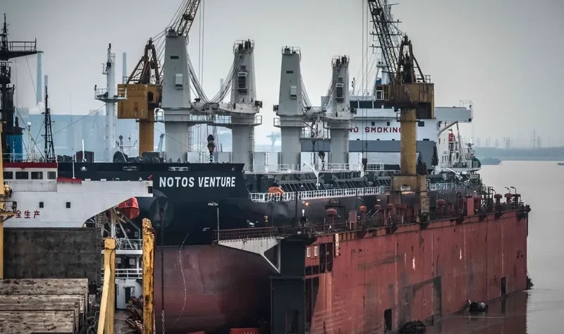 NOTOS VENTURE Bulk Carrier IMO 9725902