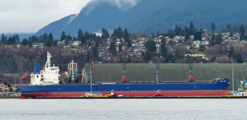 UNITY SPIRIT Bulk Carrier IMO 9725938 photo 19