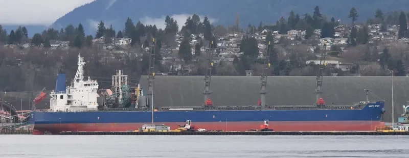 UNITY SPIRIT Bulk Carrier IMO 9725938 photo 62