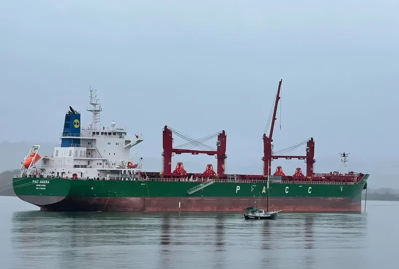 PAC AGENA Bulk Carrier IMO 9726009 photo 2