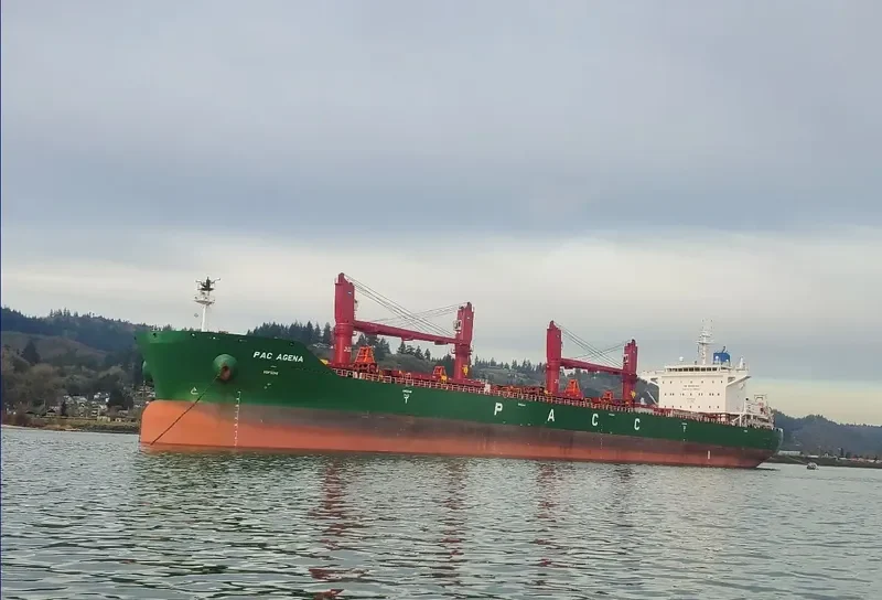PAC AGENA Bulk Carrier IMO 9726009 photo 4