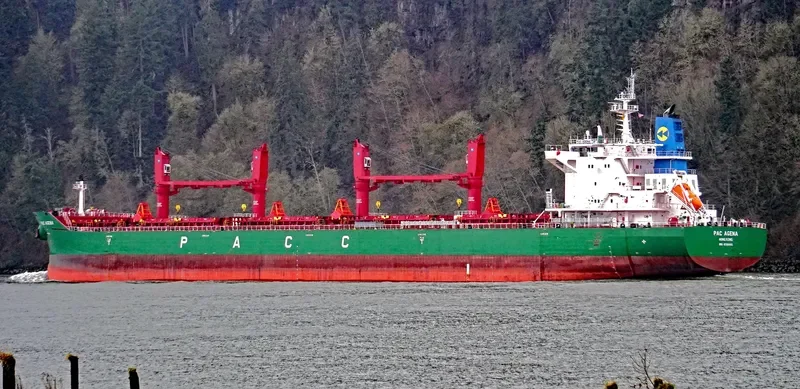 PAC AGENA Bulk Carrier IMO 9726009 photo 5