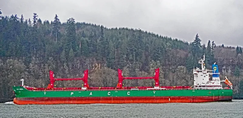 PAC AGENA Bulk Carrier IMO 9726009 photo 6