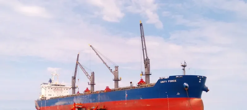 UNITY FORCE Bulk Carrier IMO 9726023 photo 2