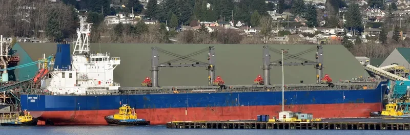 UNITY FORCE Bulk Carrier IMO 9726023 photo 34