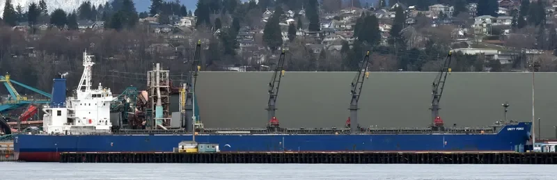 UNITY FORCE Bulk Carrier IMO 9726023 photo 59