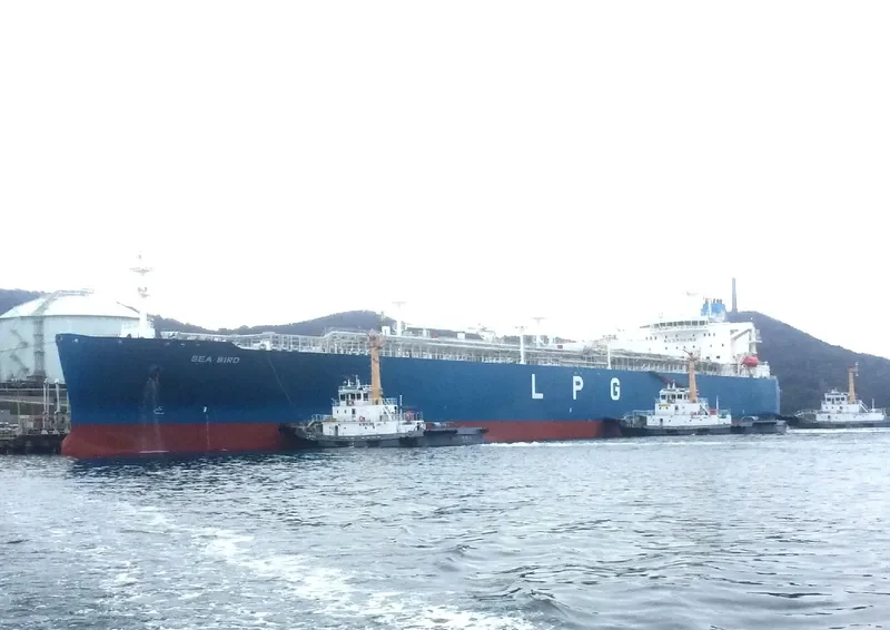 SEA BIRD General Cargo IMO 9726061