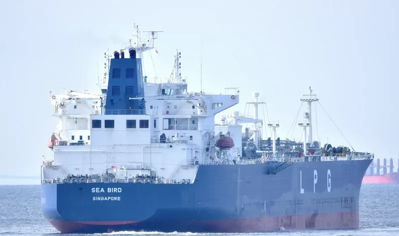 SEA BIRD General Cargo IMO 9726061 photo 2