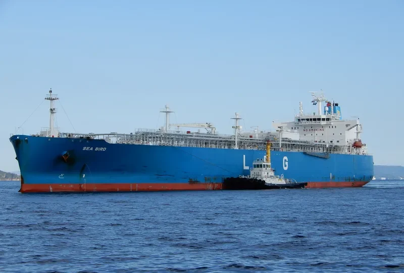 SEA BIRD General Cargo IMO 9726061 photo 3