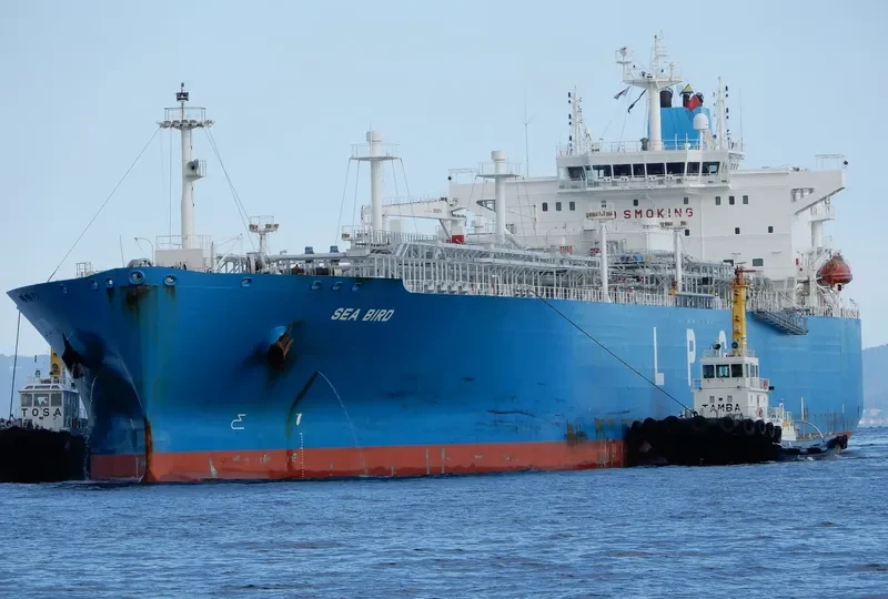 SEA BIRD General Cargo IMO 9726061 photo 4