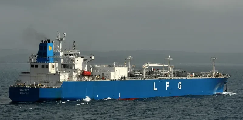 SEA BIRD General Cargo IMO 9726061 photo 5