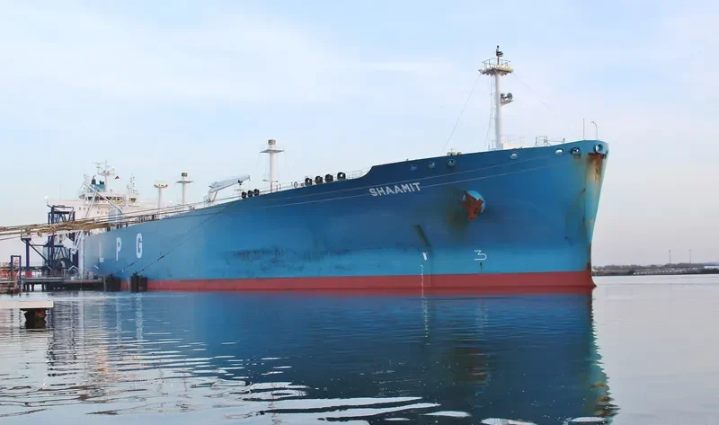 SHAAMIT General Cargo IMO 9726114 photo 9