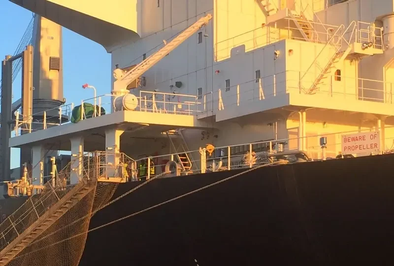 IVS TEMBE General Cargo IMO 9726164 photo 4