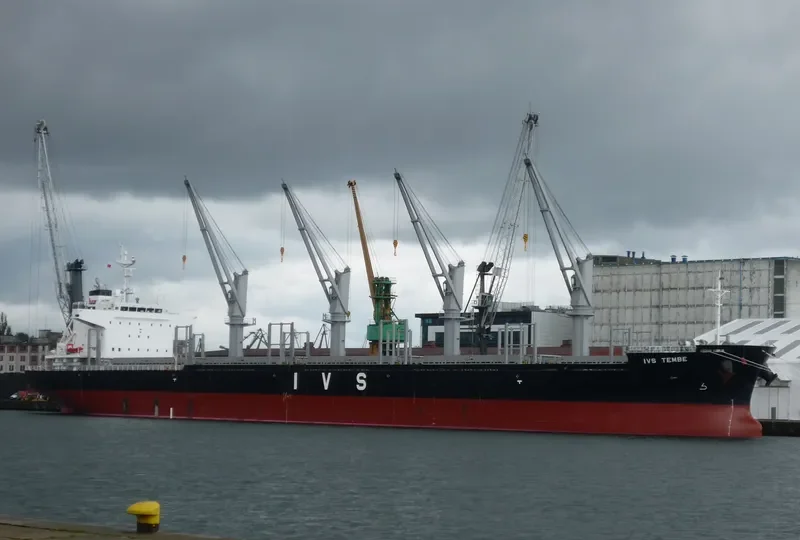 IVS TEMBE General Cargo IMO 9726164 photo 5