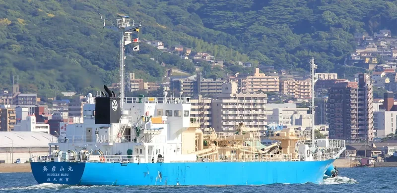 HIKOSAN MARU General Cargo IMO 9726188 photo 8