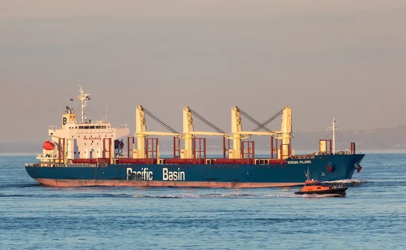 KODIAK ISLAND Bulk Carrier IMO 9726190 photo 5