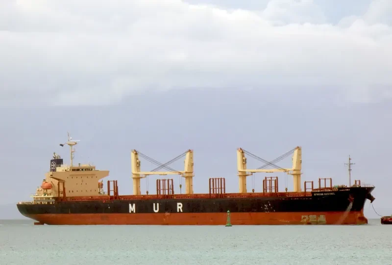 AFRICAN KESTREL General Cargo IMO 9726205 photo 5