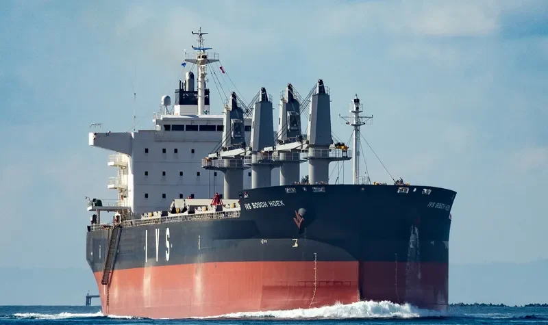 IVS BOSCH HOEK Bulk Carrier IMO 9726243 photo 3