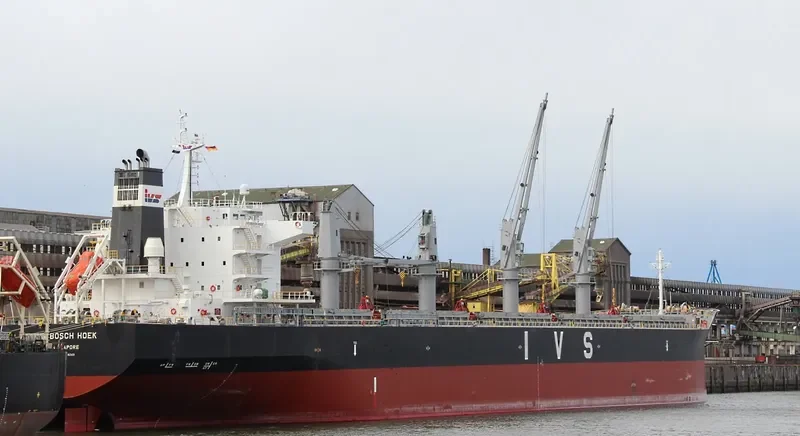 IVS BOSCH HOEK Bulk Carrier IMO 9726243 photo 7