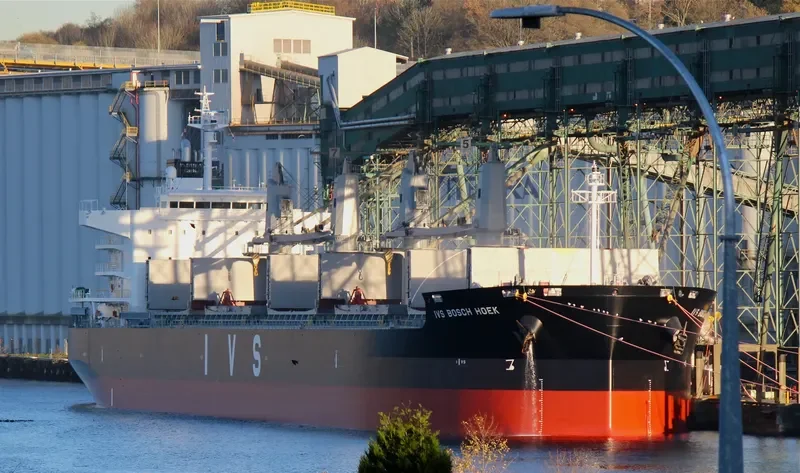 IVS BOSCH HOEK Bulk Carrier IMO 9726243 photo 8