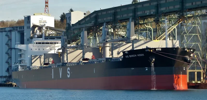 IVS BOSCH HOEK Bulk Carrier IMO 9726243 photo 9