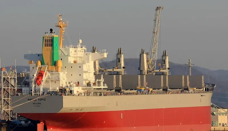 PAOLO TOPIC Bulk Carrier IMO 9726255