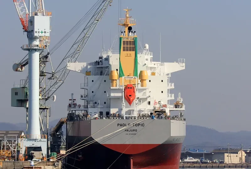 PAOLO TOPIC Bulk Carrier IMO 9726255 photo 2