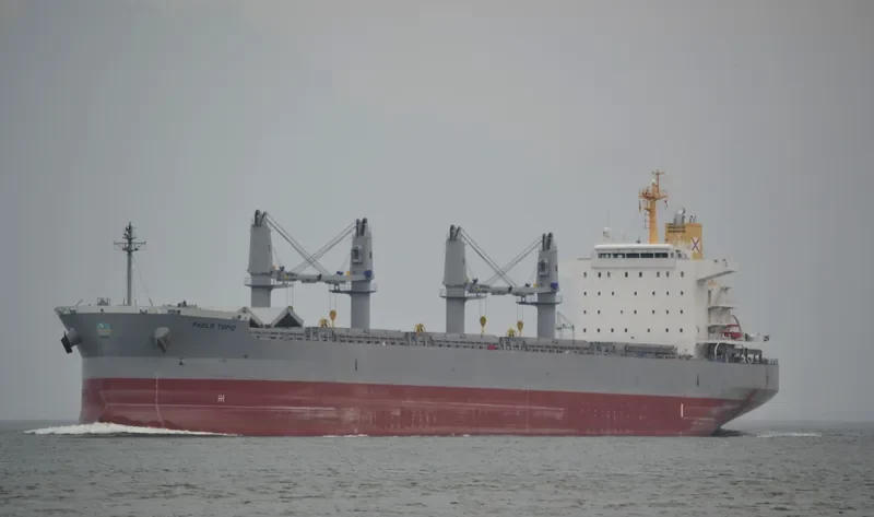 PAOLO TOPIC Bulk Carrier IMO 9726255 photo 3