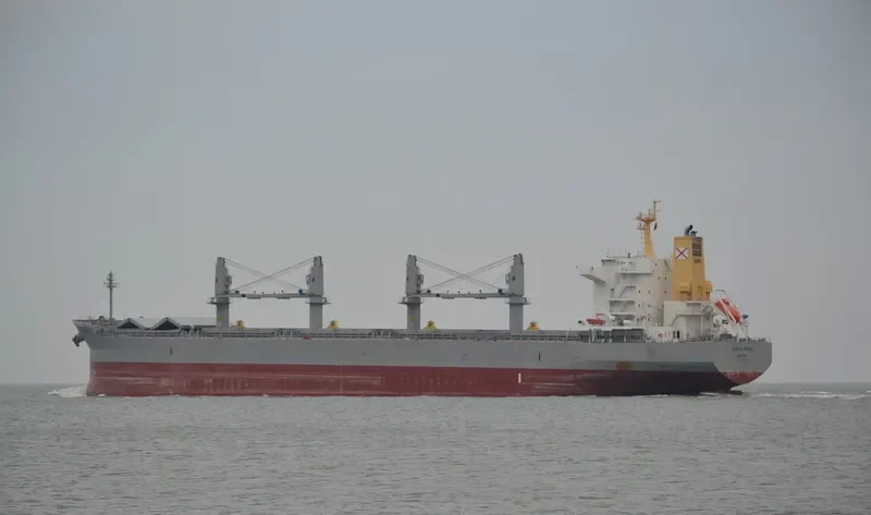 PAOLO TOPIC Bulk Carrier IMO 9726255 photo 4