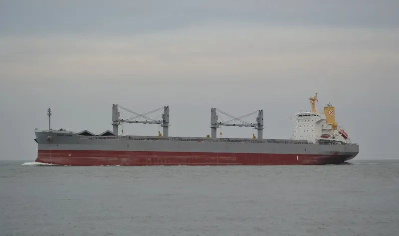 PAOLO TOPIC Bulk Carrier IMO 9726255 photo 5