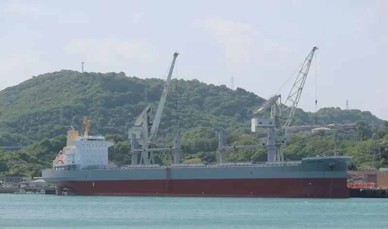 PAOLO TOPIC Bulk Carrier IMO 9726255 photo 6
